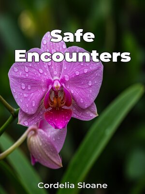 cover image of Safe Encounters